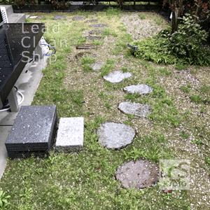 芝生の雑草除去作業前