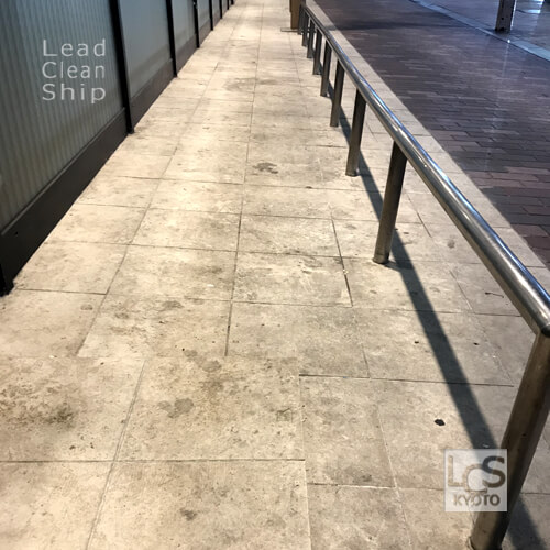 清掃前の犬走り