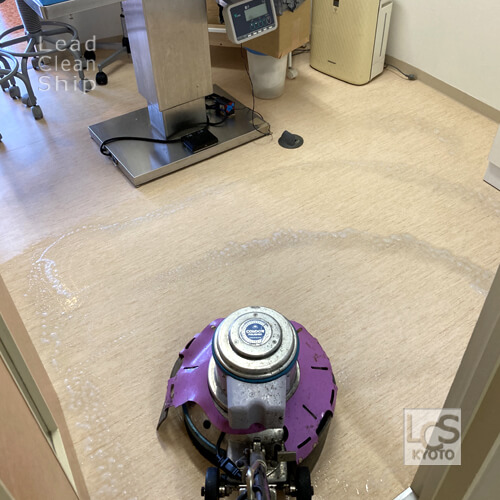 京都市上京区の動物病院さまで床洗浄