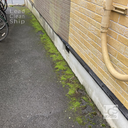 大津市アパートでコケの高圧洗浄前２