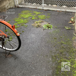 大津市アパートでコケの高圧洗浄前