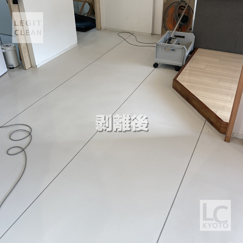 京都市西京区の動物病院さま剥離後２