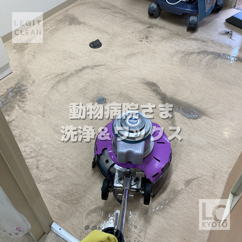 動物病院さま洗浄＆ワックス
