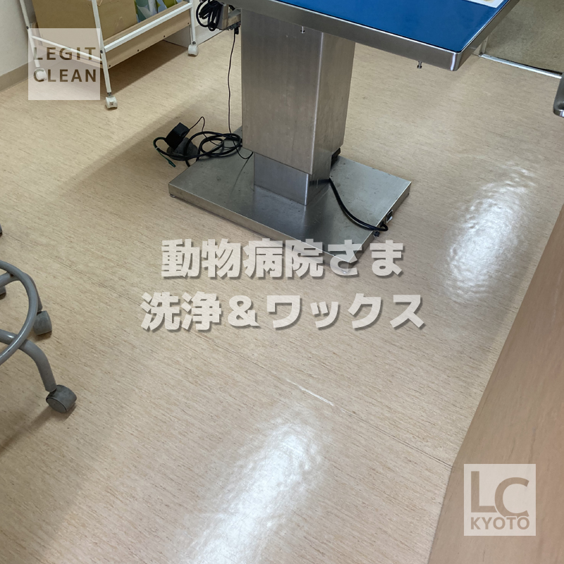 動物病院さま洗浄＆ワックス２